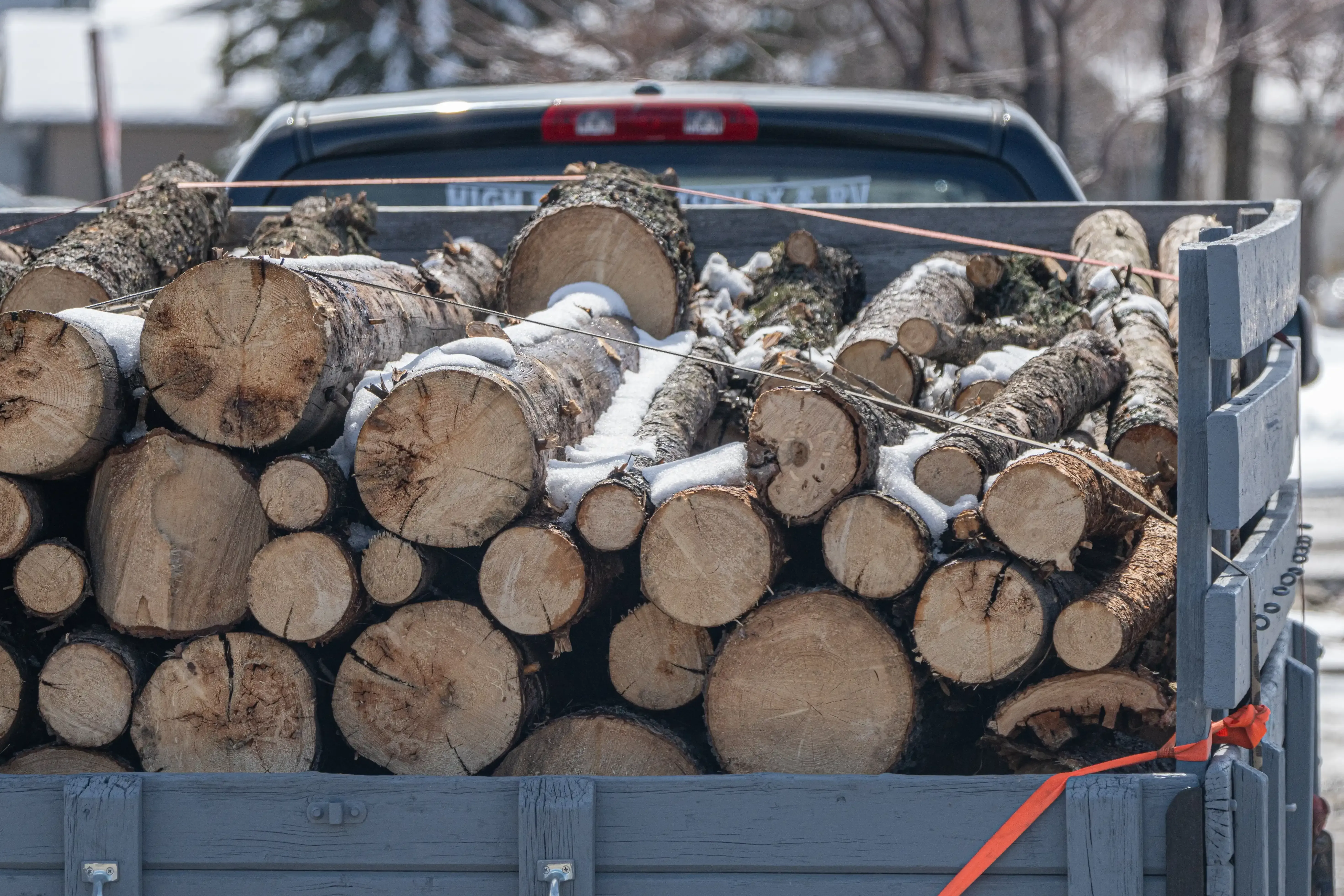A truck is loaded with logs in the back of it.