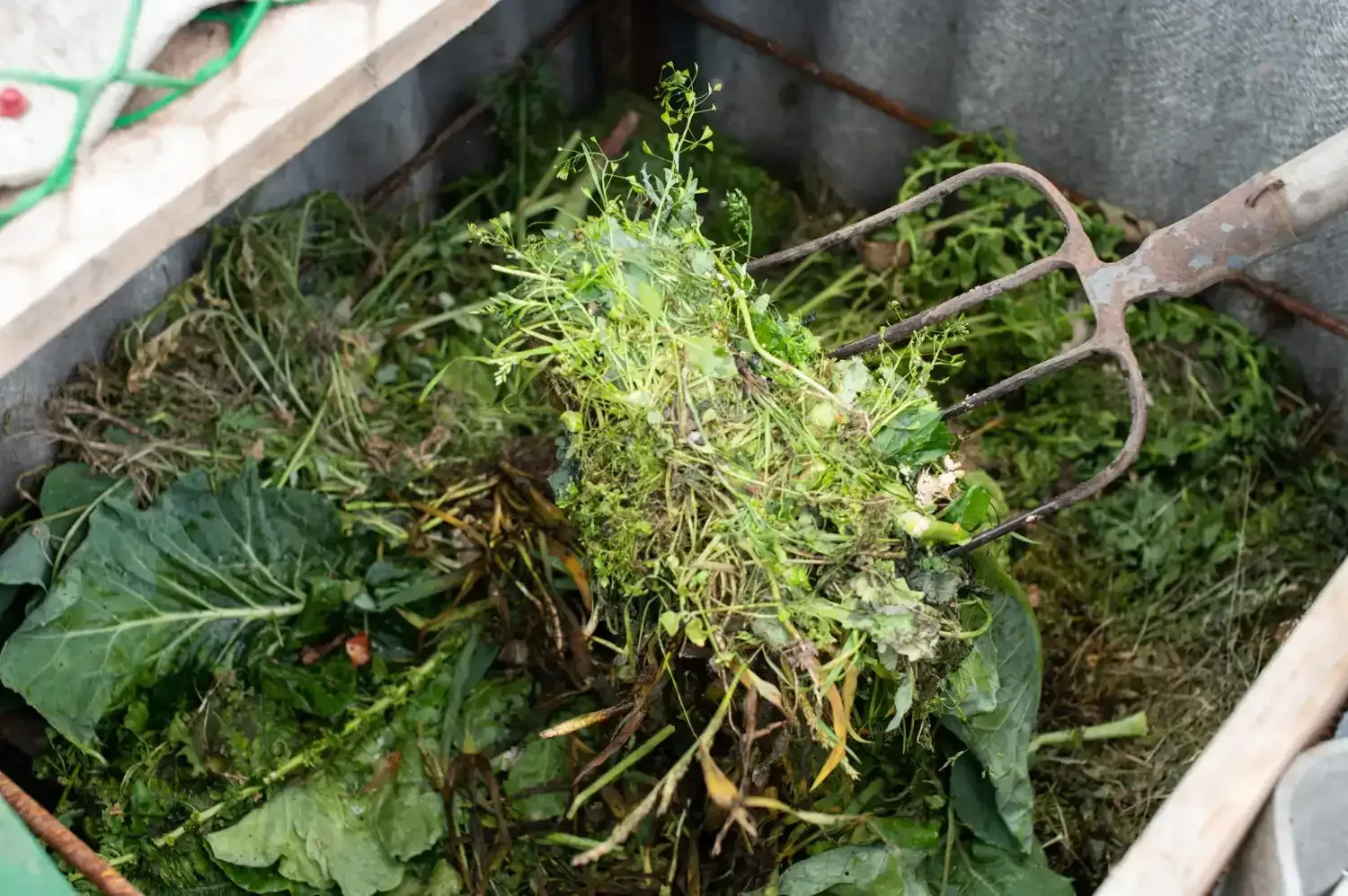 A pile of grass and leaves with a fork in it.